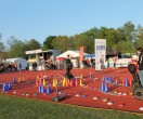 HUL15-2015-benkmann-img_7666