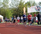 HUL15-1726-rips-dsc01910