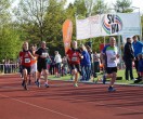 HUL15-1726-rips-dsc01914
