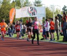 HUL15-1726-rips-dsc01917
