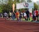 HUL15-1727-rips-dsc01921
