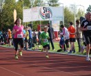 HUL15-1727-rips-dsc01926
