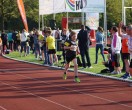 HUL15-1730-rips-dsc01960