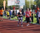 HUL15-1733-rips-dsc02007