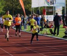 HUL15-1733-rips-dsc02015