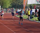 HUL15-1734-rips-dsc02022