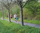 HUL15-1836-benkmann-img_7565