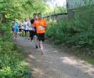 HUL15-1842-benkmann-img_7573
