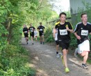 HUL15-1842-benkmann-img_7577