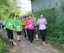 HUL15-1851-benkmann-img_7618