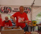 HUL15-1457-rips-dsc01502