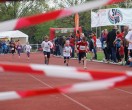 HUL15-1608-rips-dsc01690