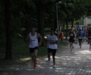 p_AW_5203