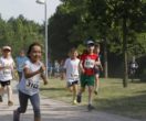 p_AW_4800